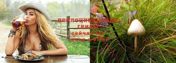 винт Армянск