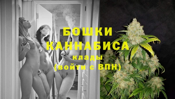 винт Армянск